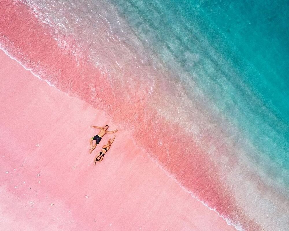 Pantai Pink Lombok