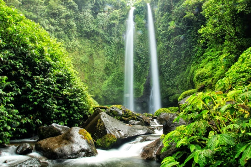 Keajaiban Air Terjun Tiu Kelep di Lombok: Keindahan Alam yang Menghipnotis
