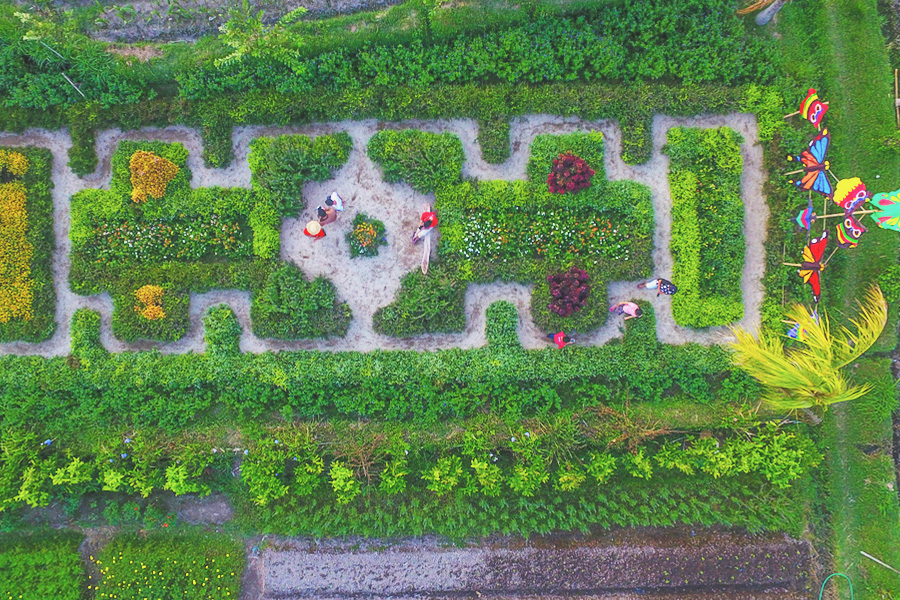 Narmada Botanic Garden: Keindahan Alam dan Keajaiban Tropis di Lombok