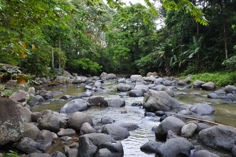 hutan lindung sesaot - rentcar lombok - sewa mobil lombok