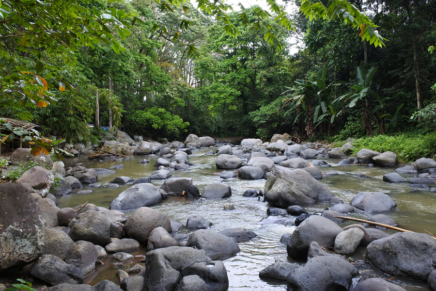 Nikmati Kesegaran 40 Mata Air di Hutan Lindung Sesaot, Lombok